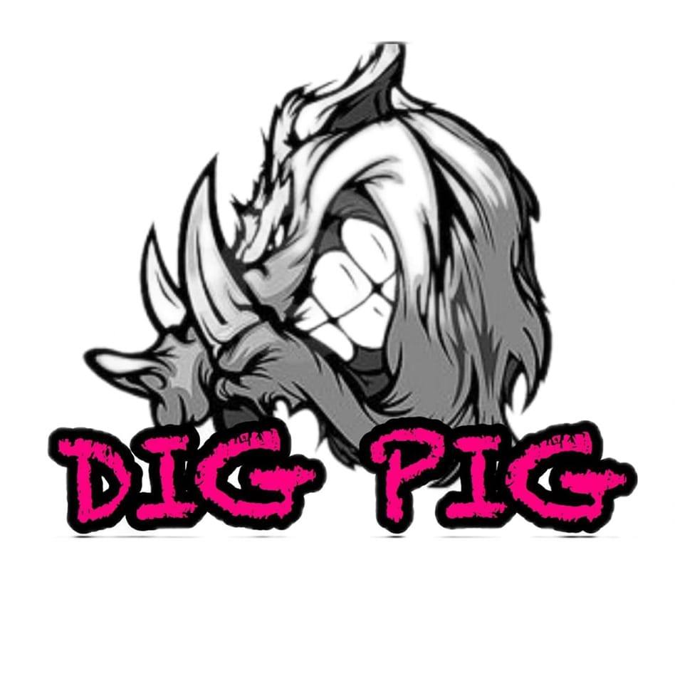 Dig Pig